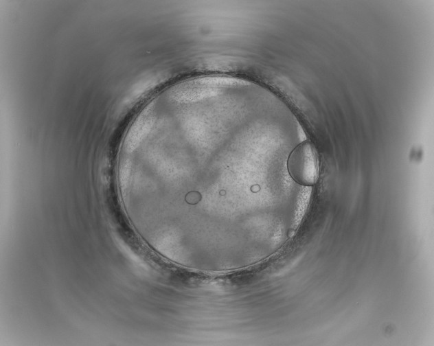 X0000090490683200708102219