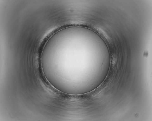 X0000090490684200708102219