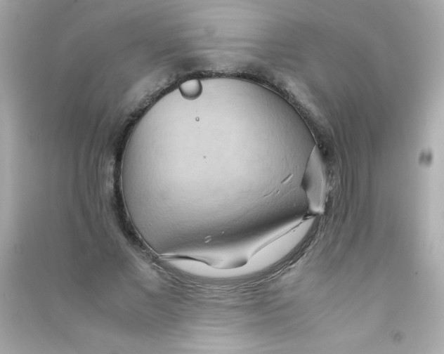 X0000090490685200708102219