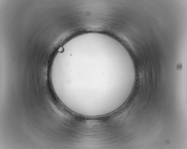 X0000090490686200708102219