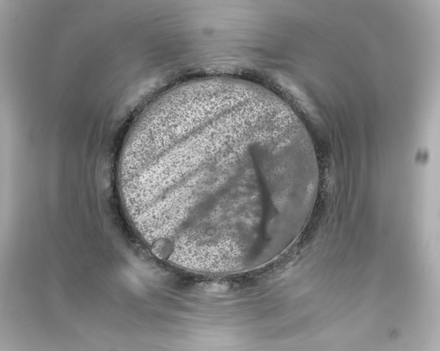 X0000090490687200708102219