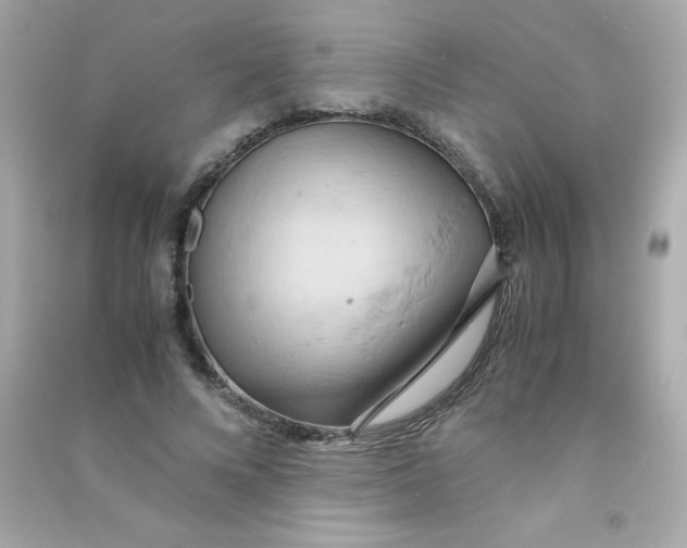 X0000090490688200708102219