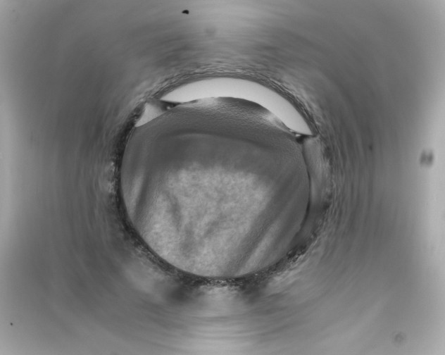 X0000090490689200708102219