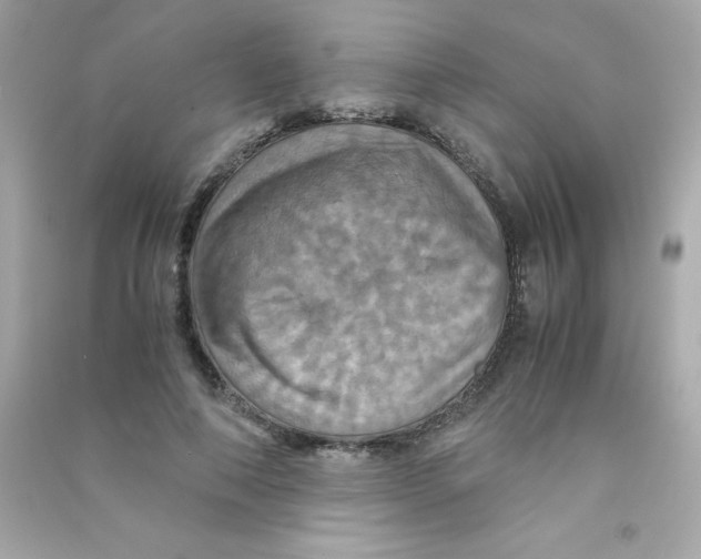 X0000090490690200708102219