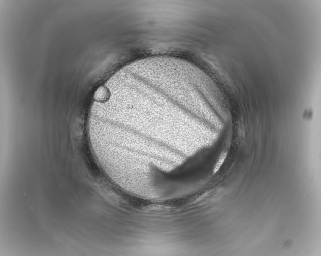 X0000090490691200708102219