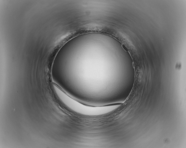 X0000090490692200708102219