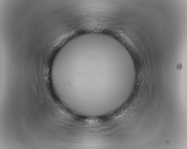 X0000090490693200708102219