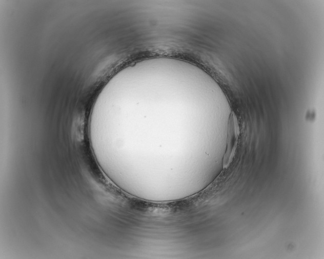 X0000090490694200708102219