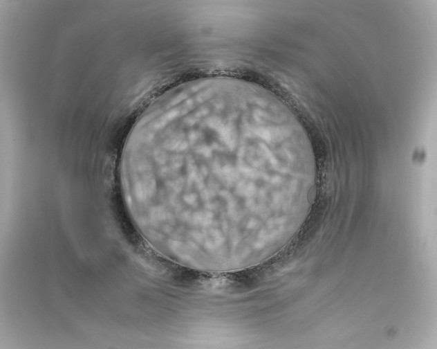 X0000090490695200708102219