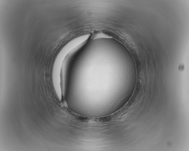 X0000090490697200708102219