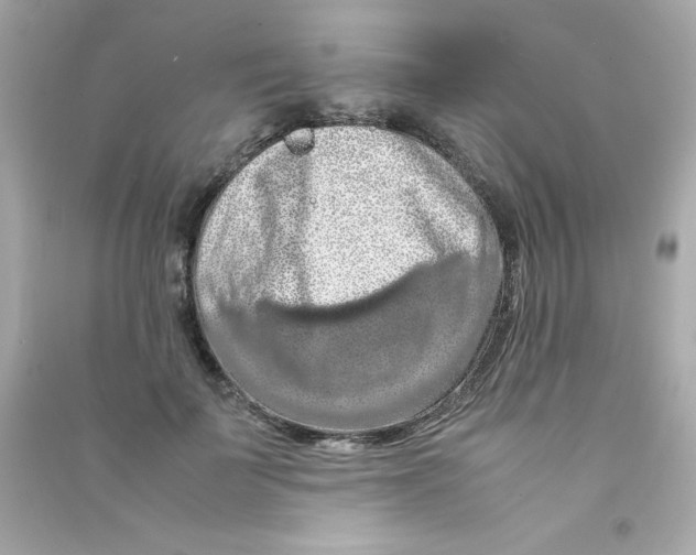 X0000090490699200708102219