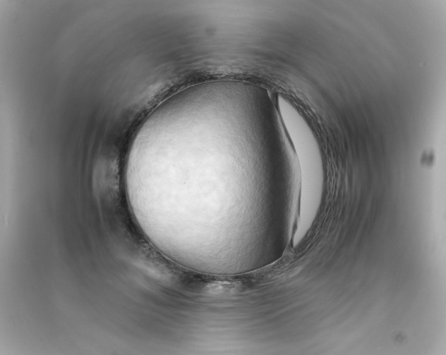 X0000090490700200708102219