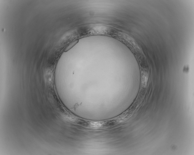 X0000090490701200708102219