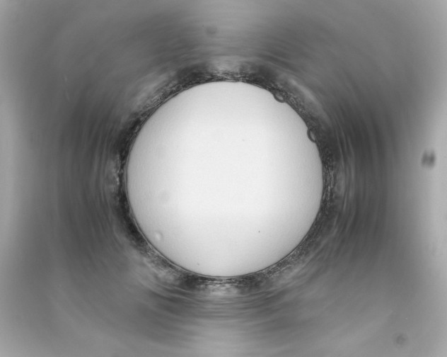 X0000090490702200708102219