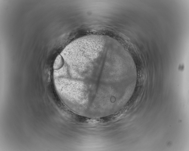 X0000090490703200708102219