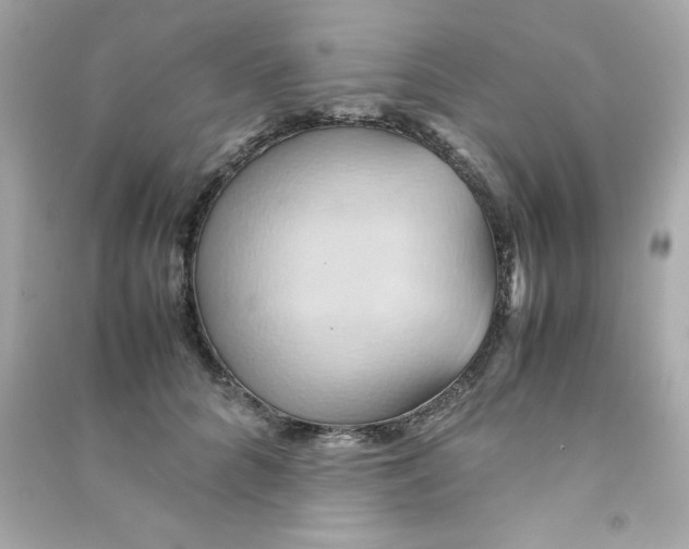 X0000090490704200708102219