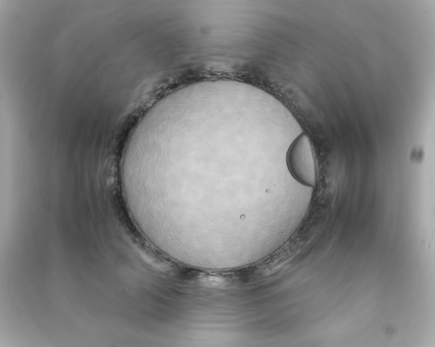 X0000090490706200708102219