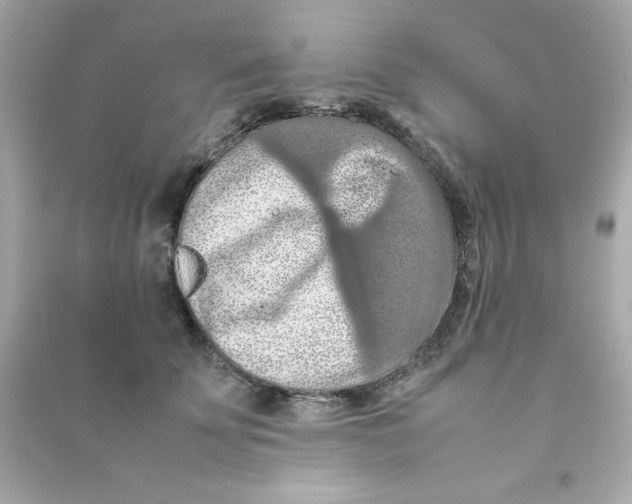 X0000090490707200708102219