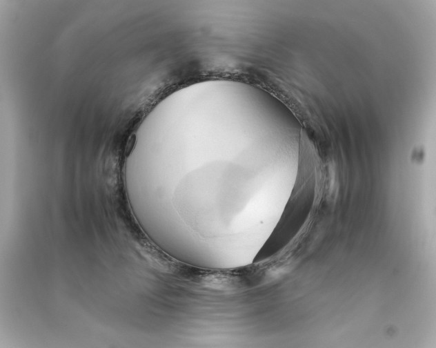 X0000090490708200708102219