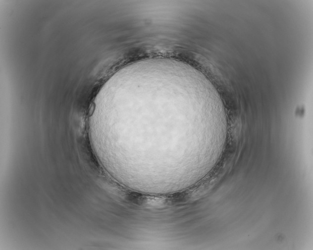 X0000090490709200708102219