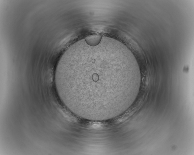 X0000090490710200708102219