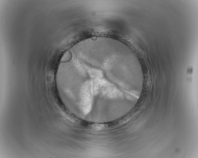 X0000090490711200708102219