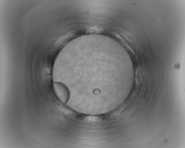 X0000090490714200708102218