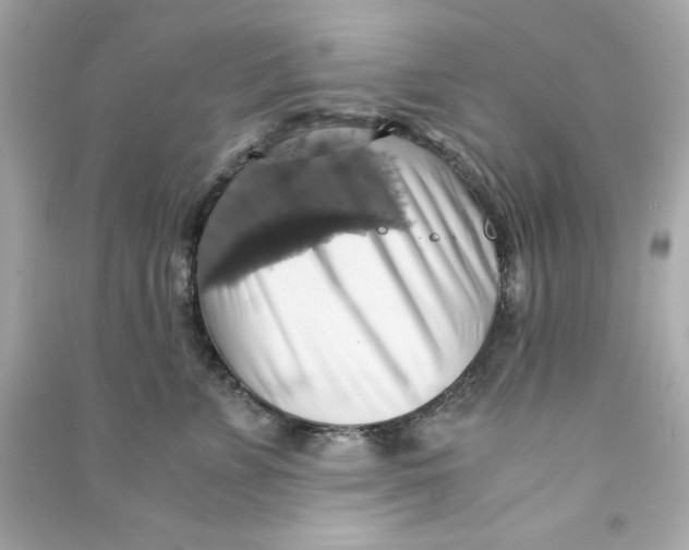 X0000090490715200708102218