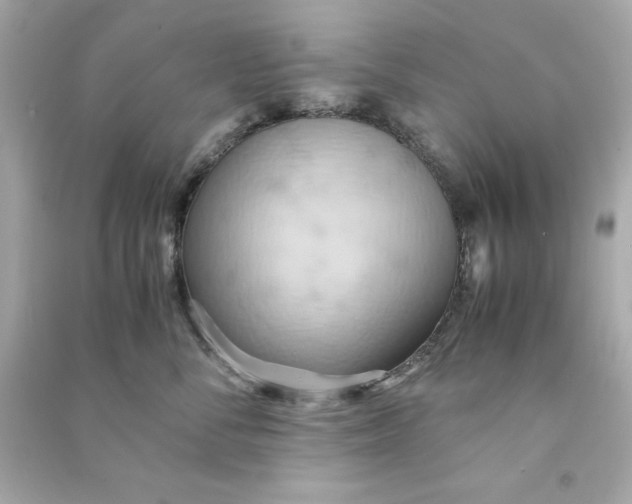 X0000090490716200708102218