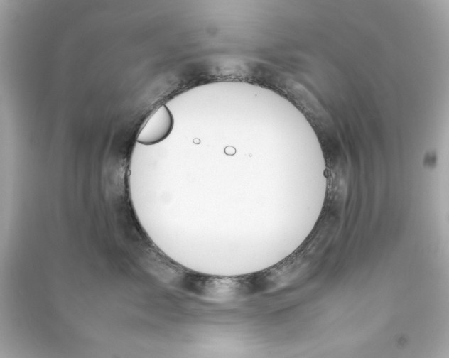 X0000090490717200708102218