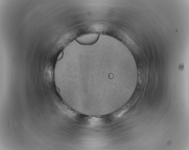 X0000090490718200708102218