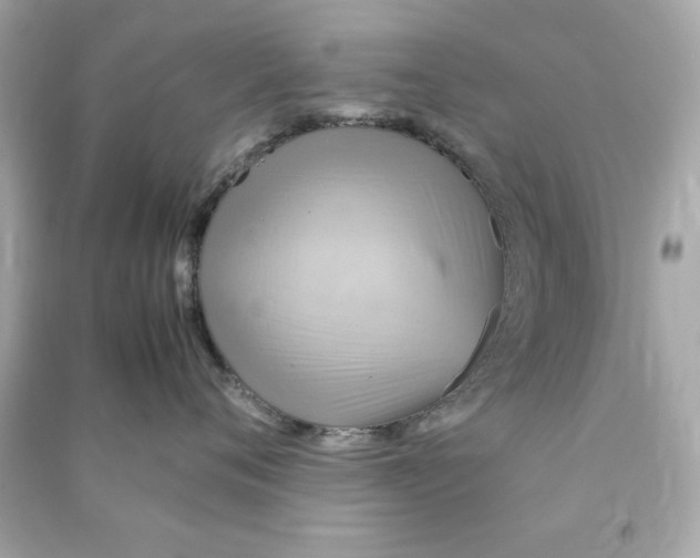 X0000090490720200708102218