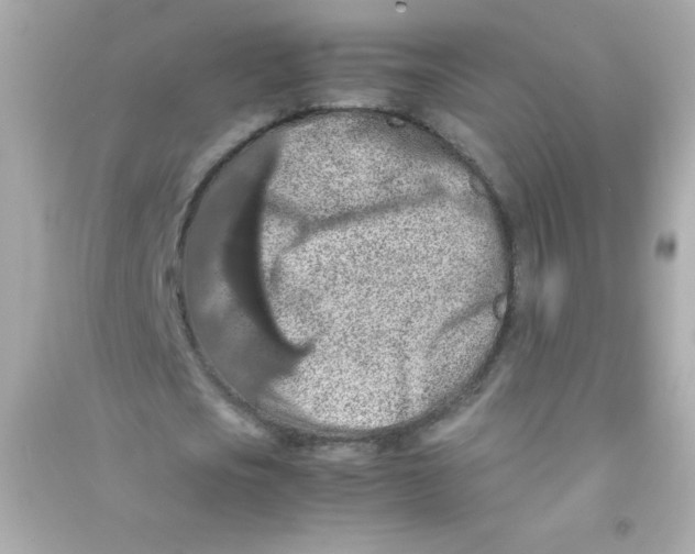 X0000090490721200708102218