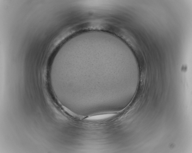 X0000090490722200708102218