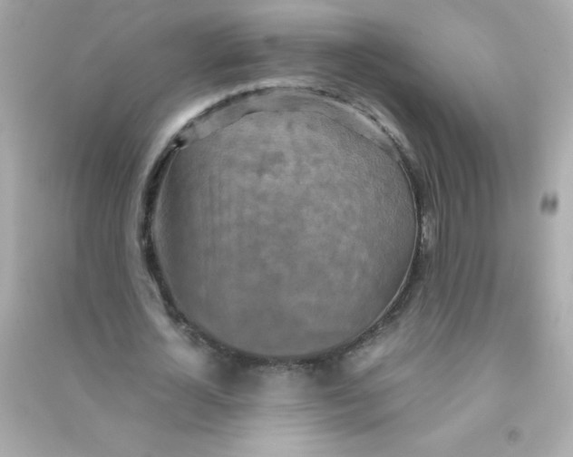 X0000090490724200708102218