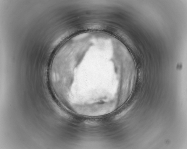 X0000090490725200708102218