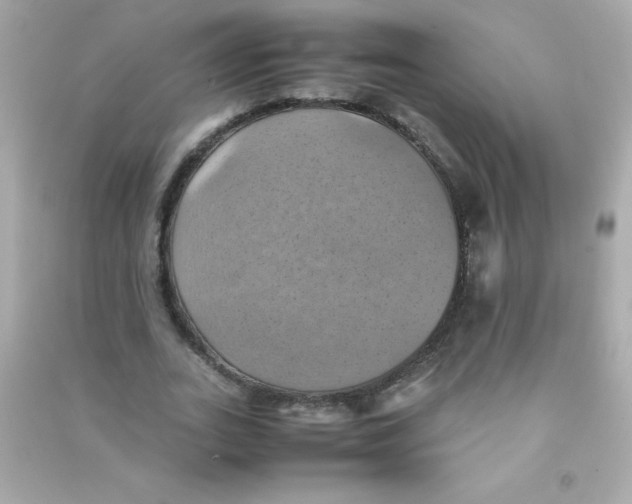 X0000090490727200708102218