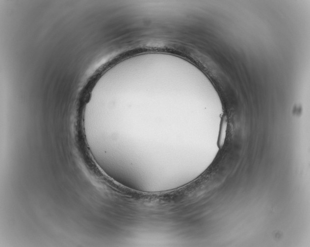 X0000090490728200708102218