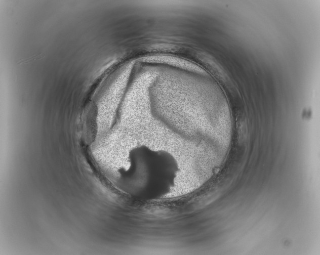 X0000090490729200708102218