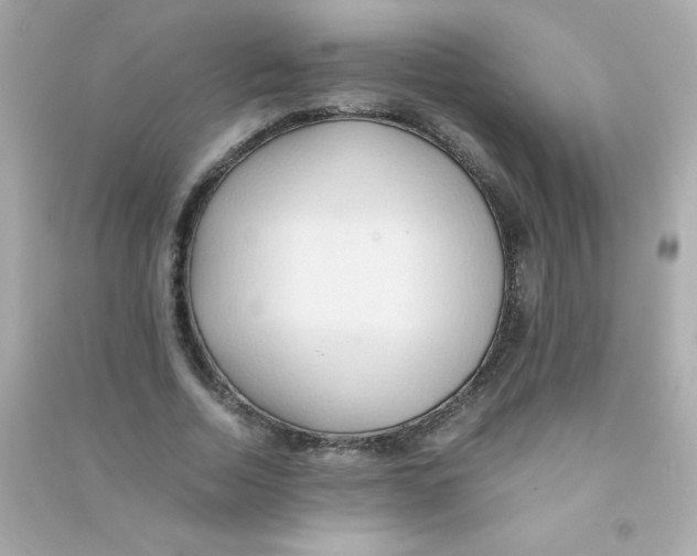 X0000090490730200708102218