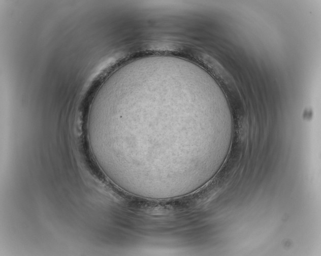 X0000090490731200708102218