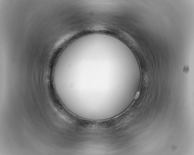 X0000090490732200708102218