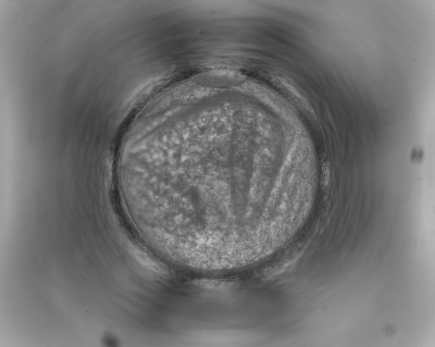 X0000090490733200708102218