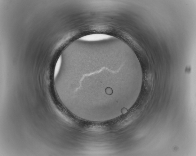 X0000090490734200708102218