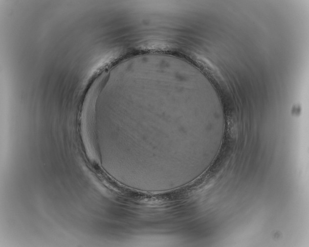 X0000090490735200708102218