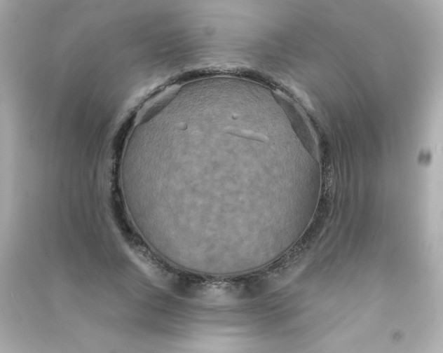 X0000090490736200708102218