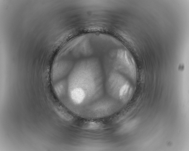 X0000090490737200708102218