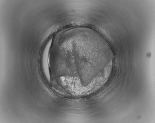 X0000090490738200708102218