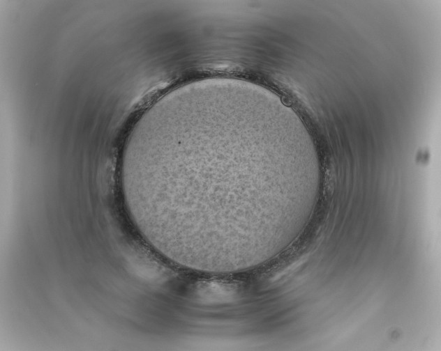 X0000090490739200708102218