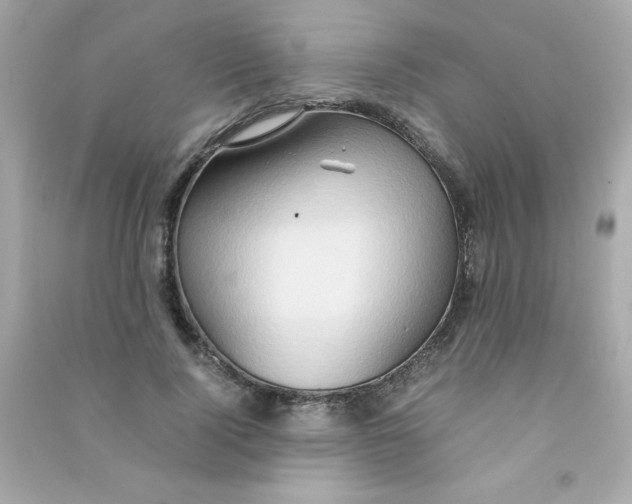 X0000090490740200708102218